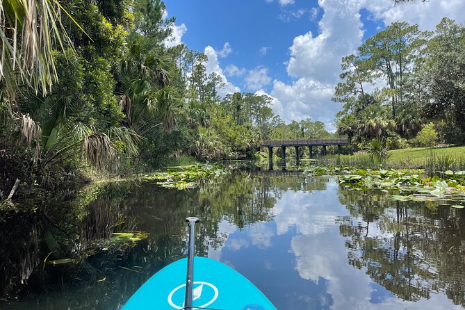 Epic Paddleboarding & Wildlife Adventure - Equipment and Gear Needed