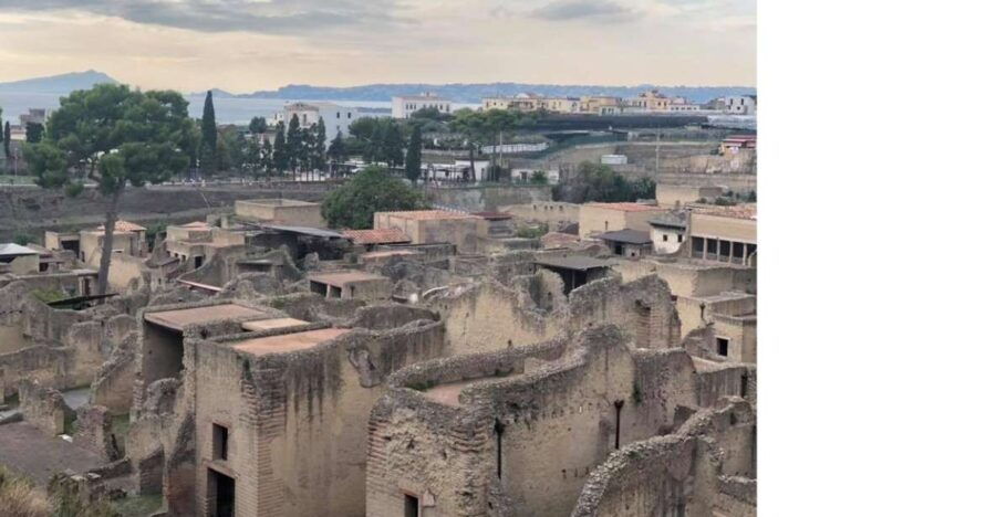 Ercolano: Archaeological Park of Herculaneum Walking Tour