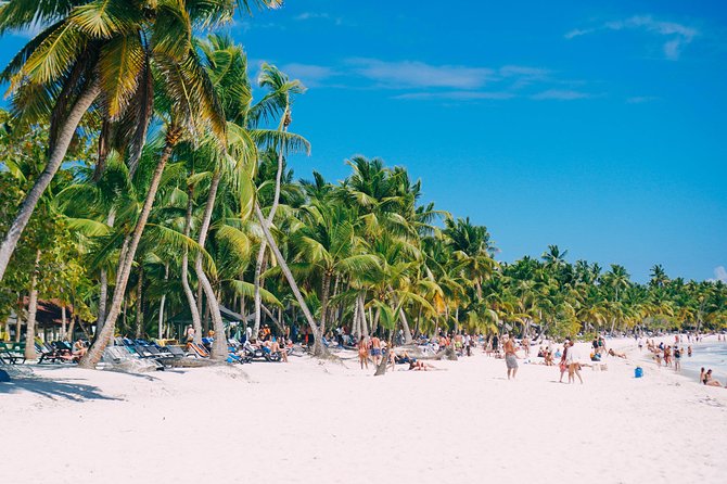 Escape to Saona Island Group Tour  – Punta Cana