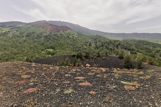 Etna 4WD