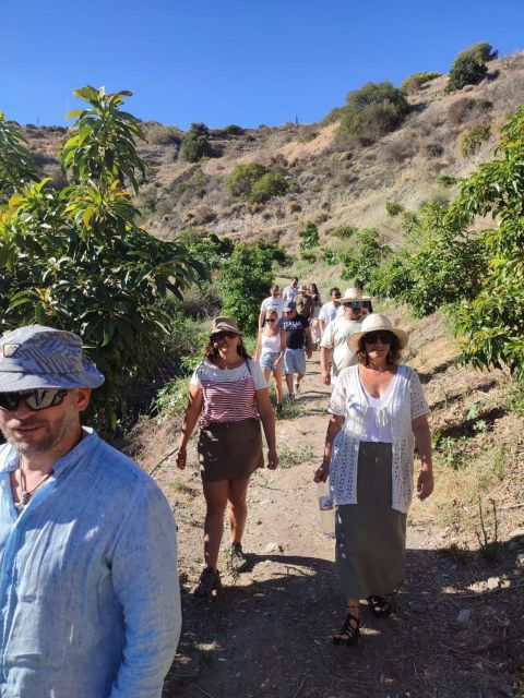 Europe’s Only Coffee Farm: Walking Tour in Our Plantation
