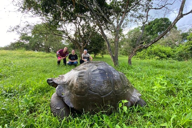 Exciting Galapagos Island Adventure: Snorkeling, Tours, Transfers