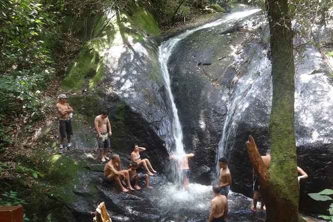 Exciting Hike: Immerse in Cantareira State Park