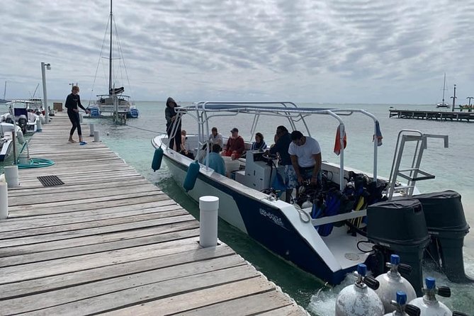 Exciting Scuba Dive Adventure at Ambergris Caye