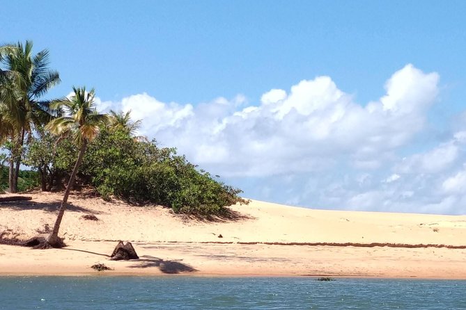 Exciting Tour to São Francisco River Mouth