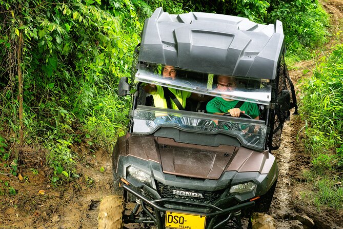 Exciting UTV Safari Unveils Wildlife and Nature
