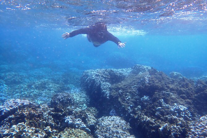 Exclusive Coral Reef Snorkeling Experience Unveiled