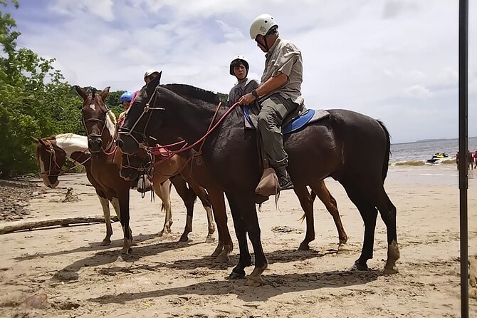 Exclusive Horseback Adventure in Playa Conchal - Good To Know