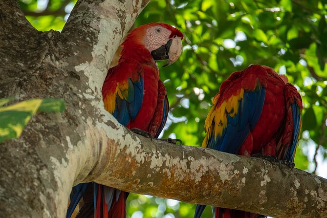 Exclusive Private Shuttle: La Fortuna to Manuel Antonio
