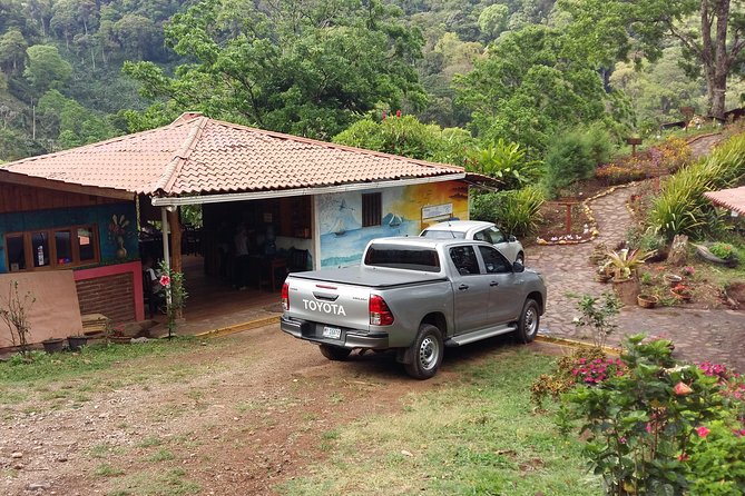 Exclusive Private Transfer Service Wows Tourists