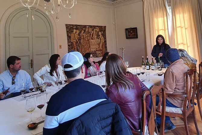 Exclusive Wine Tour: Viñas Tarapacá & Santa Ema