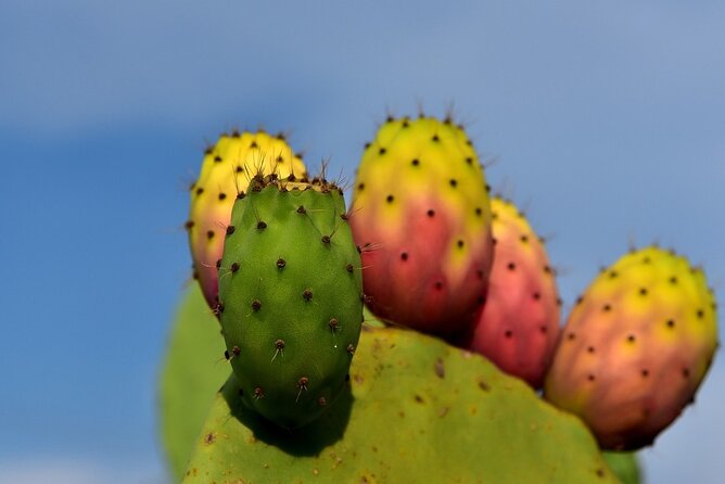 Excursion for Group From Messina to Taormina Castelmola Isola Bella - Excursion Highlights