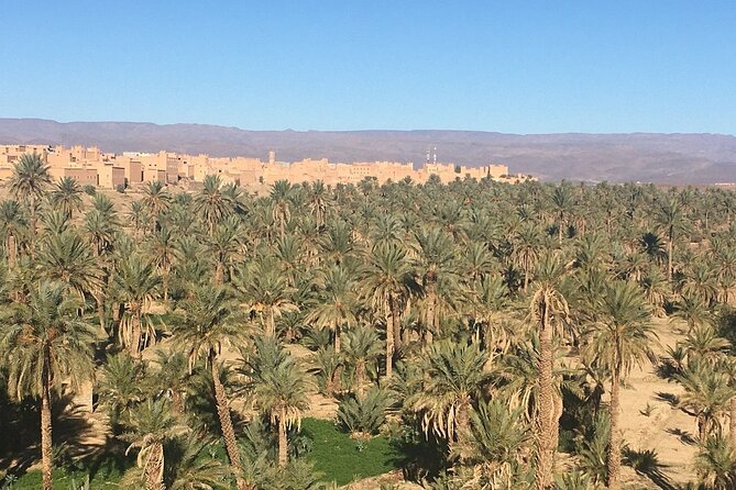 Excursion From Ouarzazate to Vallee Du Draa, Zagora and Dunes De Tinfou - Common Questions