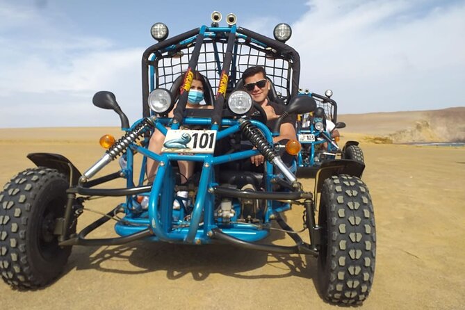 Excursion in Minibuggys in Paracas National Reserve - What Is Paracas National Reserve?