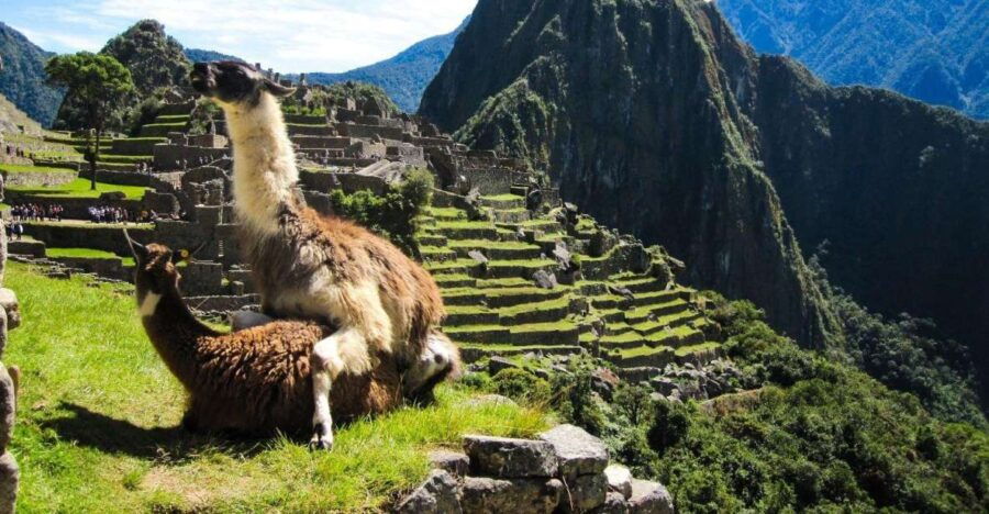 Excursion MachuPicchu-SacredValley-SalinerasMarasMoray 5D4N - Experience Highlights and Itinerary