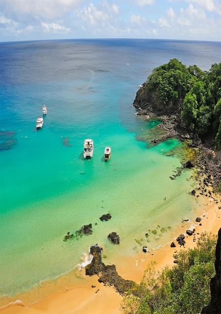 Explore Fernando De Noronha: 7-Hour Ilhatour - Good To Know