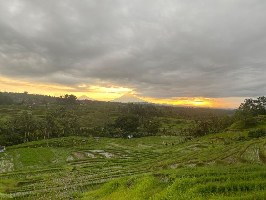 Explore Rice Terraces Munduk & Waterfall Trekking Experience - Good To Know