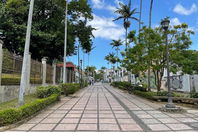 Explore San Jose’s Vibrant Heart on Foot