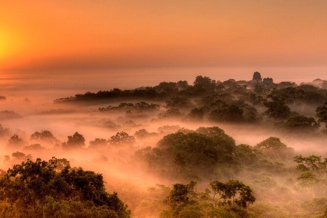 Explore Tikal Ruins: Guided Jungle Adventure