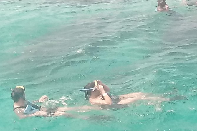Falmouth Shore Excursion: Private Snorkel Tour - Private Tour Highlights