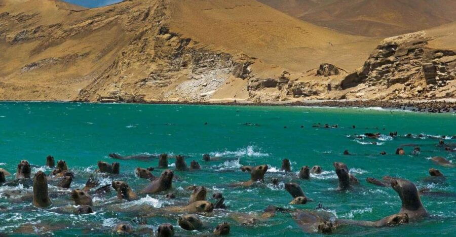Fantastic Peru Lima- Ica- Cusco, Sacred Valley, 7 Days