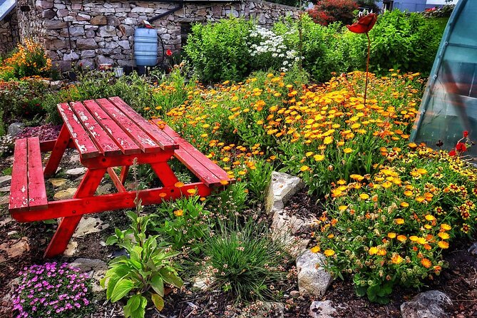 Farm to Table Experience and Irish Cooking Class in Galway - Cancellation Policy