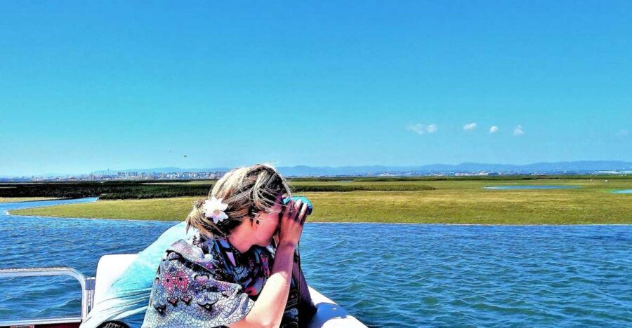 Faro: Ria Formosa Catamaran Tour