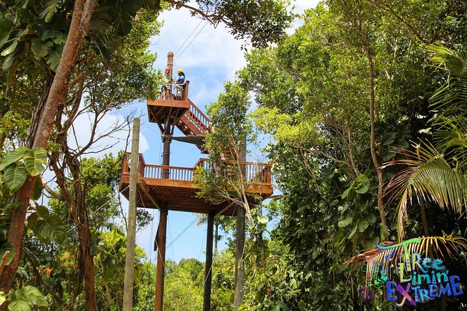 Fast-Paced Ziplining Experience in the US Virgin Islands  - St Thomas - Positive Reviews and Group Bonding