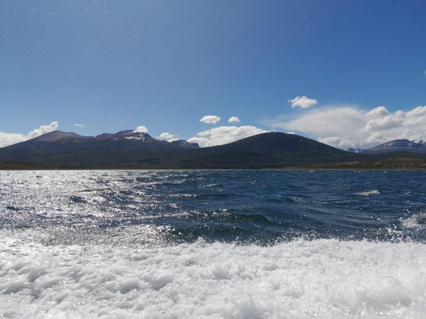 FD Beagle Flavors - Scenic Beauty and Nature Exploration