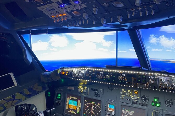 Flight Simulation Experience