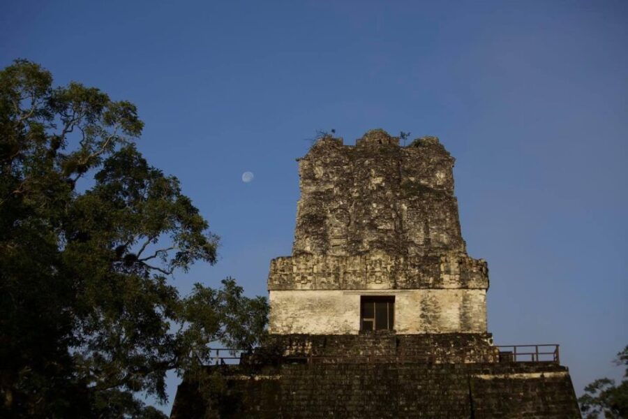 Flores: 1-Day Tikal Tour Private Service From Your Hotel