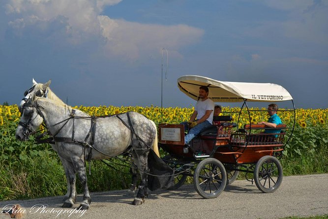 Food and Wine Tour - Tour Highlights