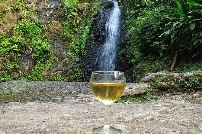 Food Tour in the Rainforest and St Pierre - Pile Et Face - Positive Reviews
