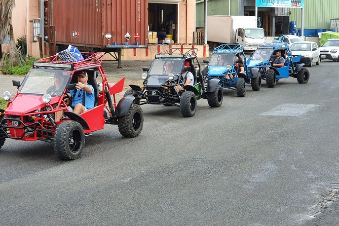 Four-Hour Electric Buggy Rental With Map, St. Martin  - St Maarten - What To Expect
