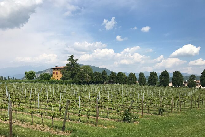 Franciacorta Exclusive Wine Experience From Milan With Pickup - Good To Know
