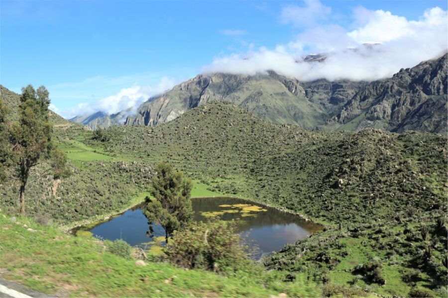 From Arequipa: 3 Day Trek to Colca Canyon