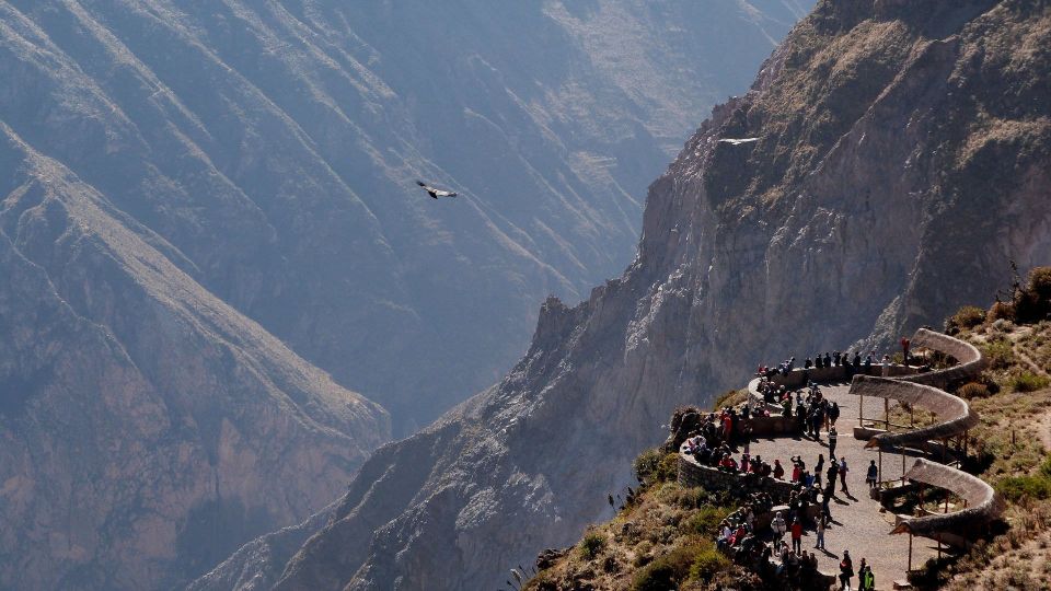 From Arequipa: Colca Canyon All Include Full Day