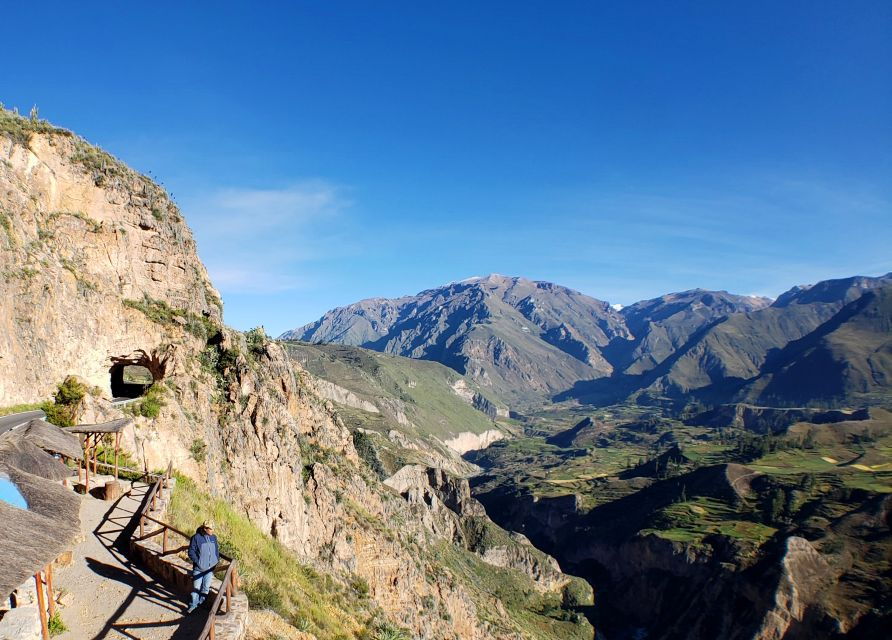 From Arequipa: Colca Canyon Full-Day Guided Tour - Good To Know