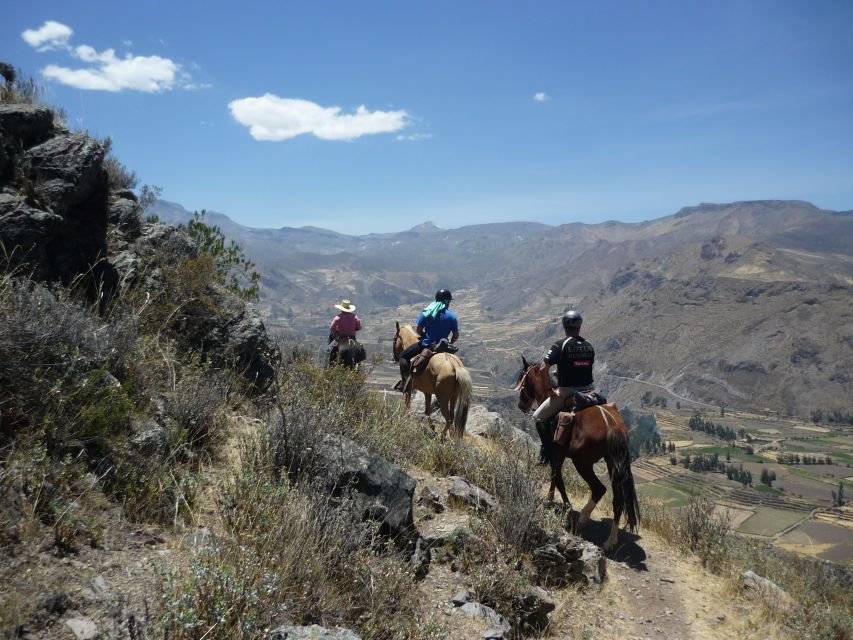 From Arequipa: Colca Valley/Canyon 2-Day Tour & Horse Riding
