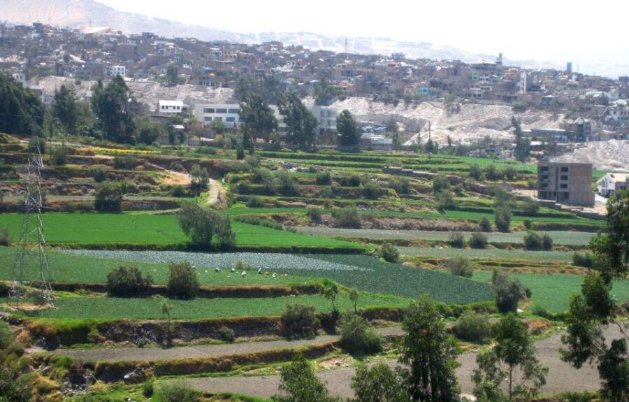 From Arequipa: Loncco Route Tour Full Day