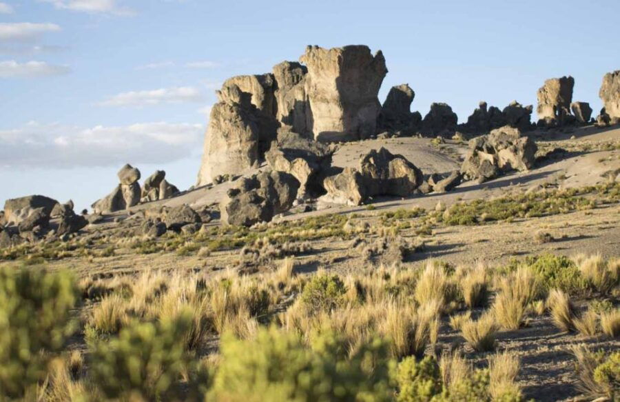 From Arequipa: Pillones Waterfall and Stone Forest Day Trip - Customer Review