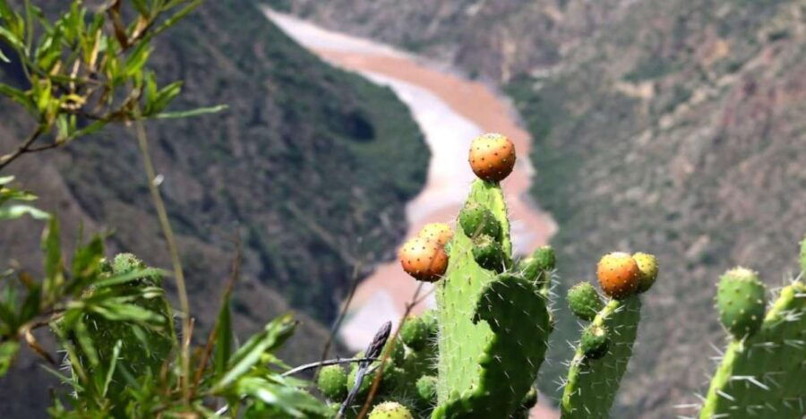 From Ayacucho: Huatuscalla Huanta - Full Day - Activity Details