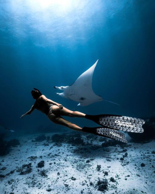 From Bali : Nusa Penida Snorkeling and West Tour Inclusive - Review Summary