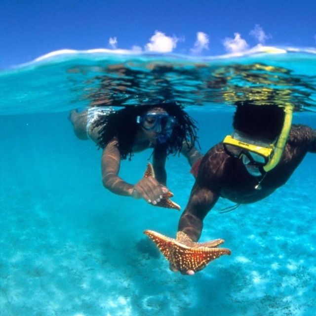 From Bali: West Nusa Penida & Snorkeling Full Day Tour - Good To Know