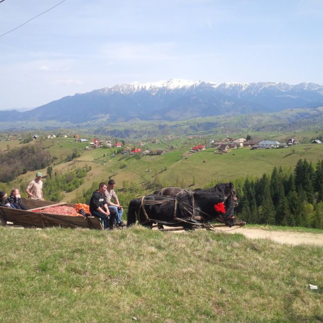 From Brașov: Half or Full Day Transylvania Jeep Tour - Tour Details
