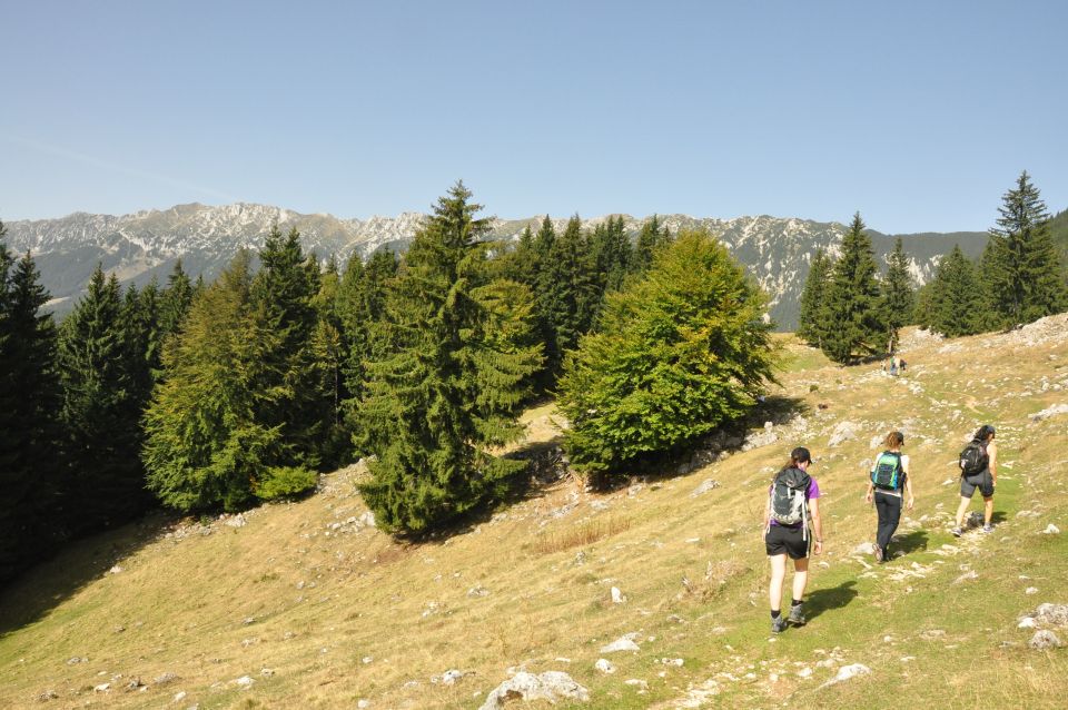 From Brasov: Piatra Craiului National Park Private Day Tour