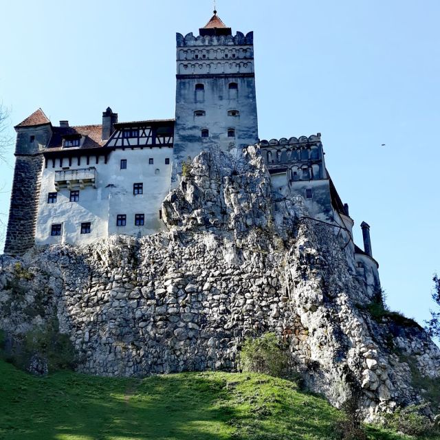 From Bucharest: Bear Sanctuary & Dracula's Castle Day Trip - Trip Highlights