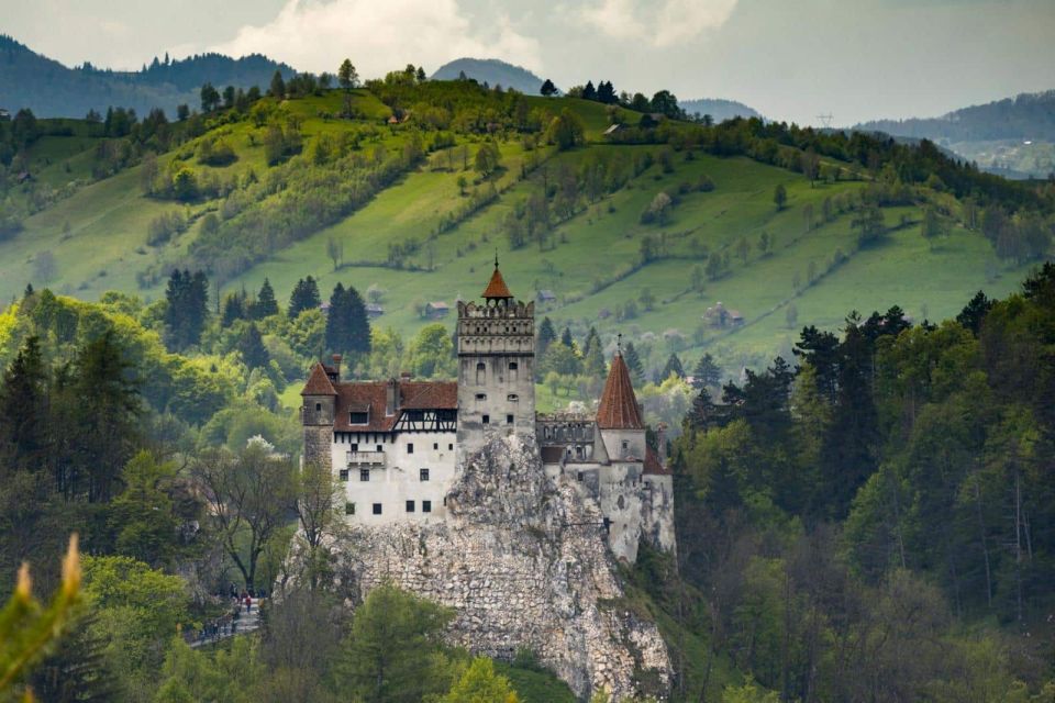 From Bucharest: Bran, Peles Castle & Brasov Private Day Tour