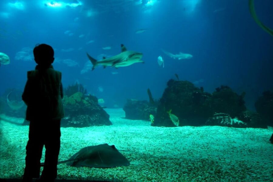 From Buenos Aires: Temaiken Zoo Tour With Ticket Included