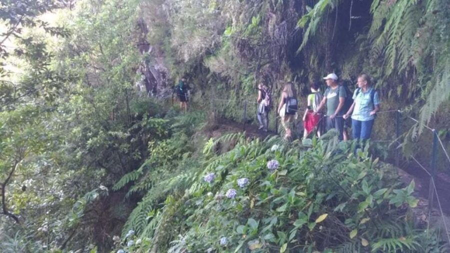 From Caniço/Funchal: Levada Caldeirão Verde Hiking Trip